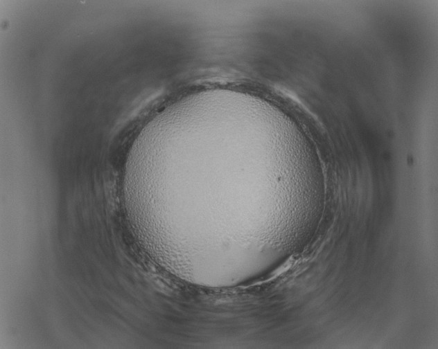 X0000077281399200611101306