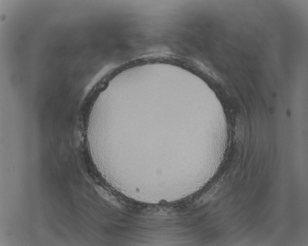 X0000077281400200611101306