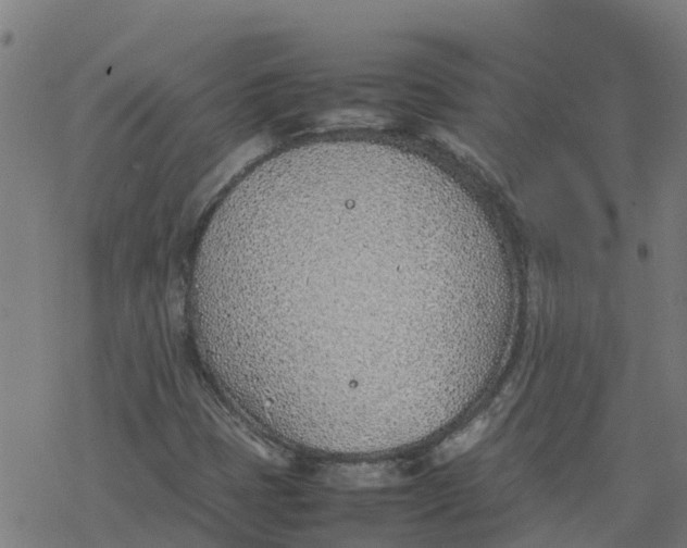 X0000077281401200611101306