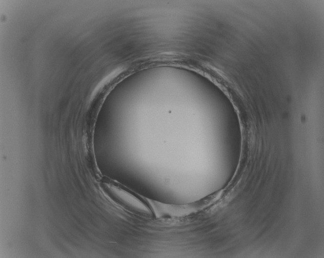 X0000077281402200611101306