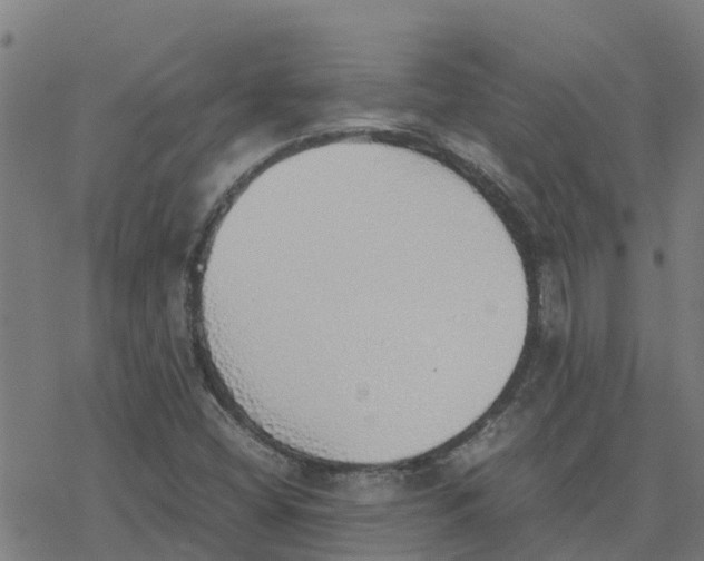 X0000077281404200611101306