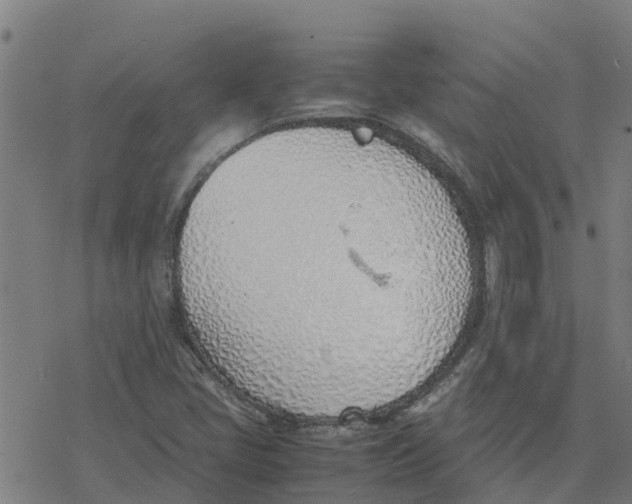 X0000077281405200611101306