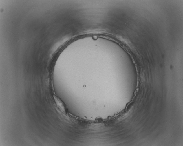 X0000077281406200611101306