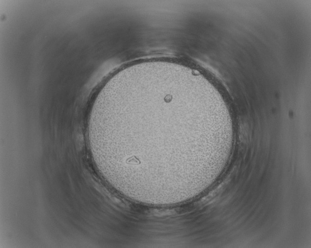 X0000077281407200611101306