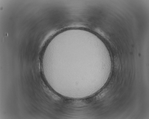 X0000077281408200611101306