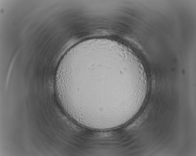 X0000077281409200611101306