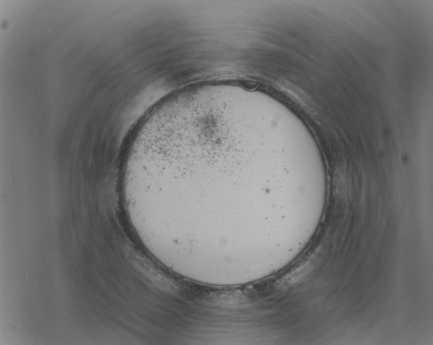 X0000077281410200611101306