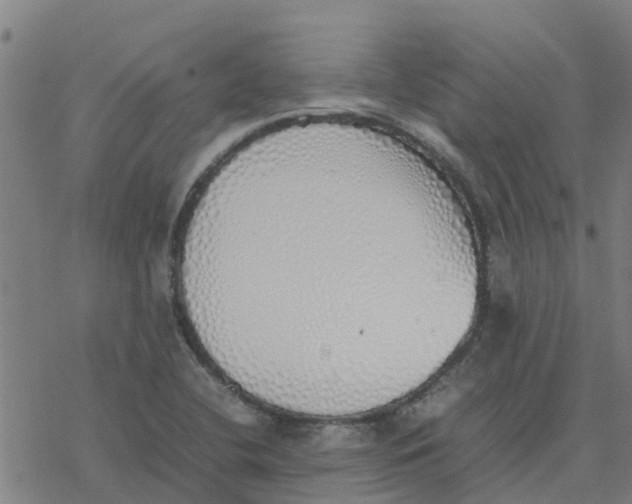 X0000077281412200611101306