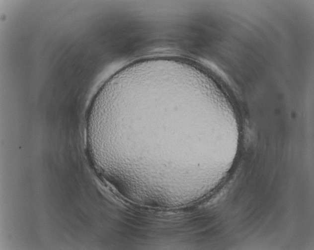 X0000077281413200611101306