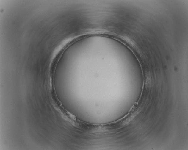 X0000077281414200611101306