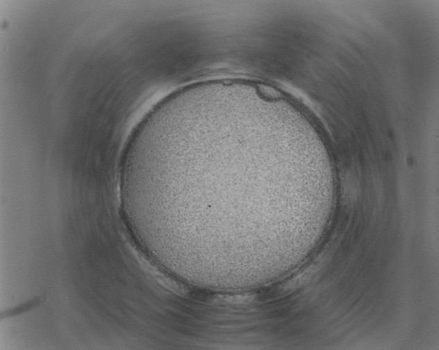 X0000077281415200611101306