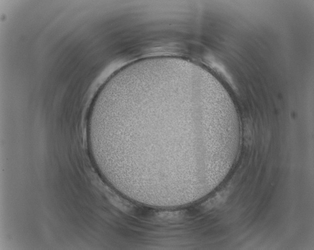 X0000077281419200611101306