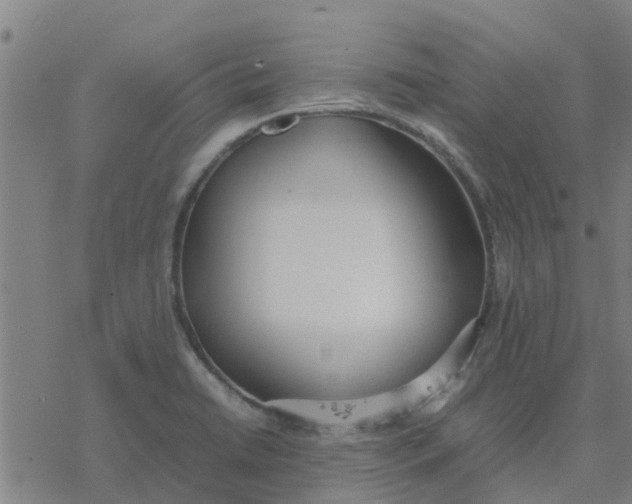 X0000077281422200611101306