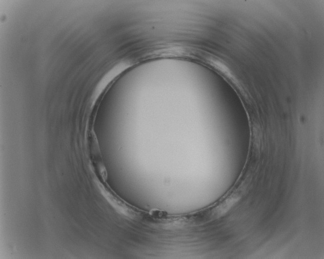 X0000077281426200611101306