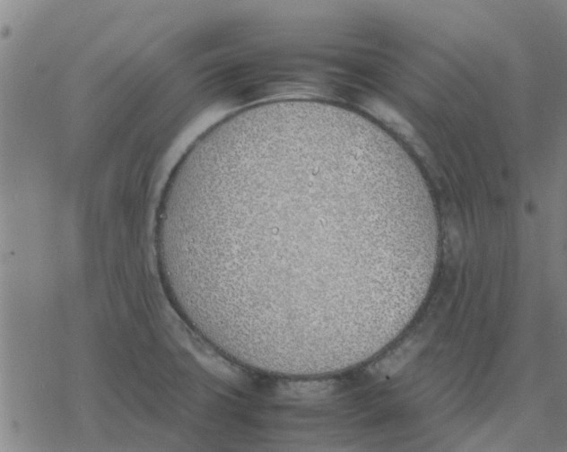 X0000077281427200611101306