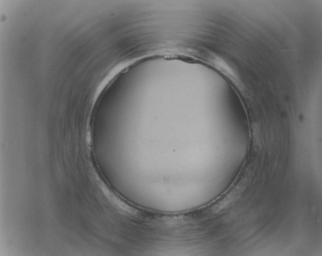 X0000077281428200611101306