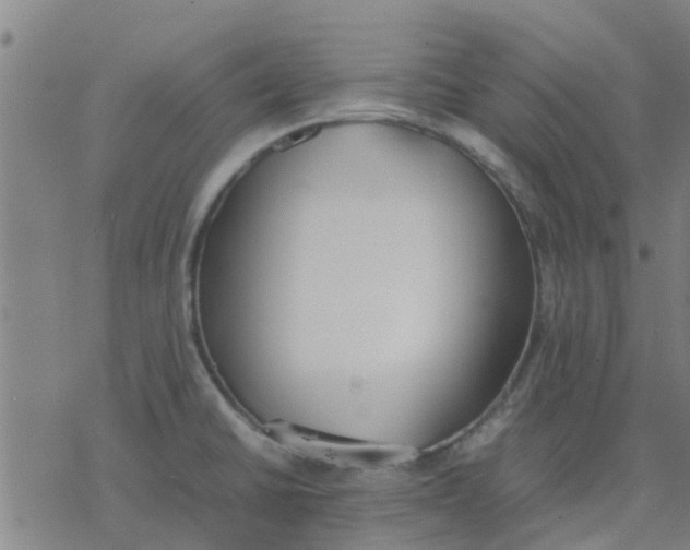 X0000077281430200611101306