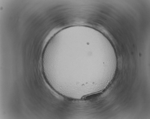 X0000077281432200611101307