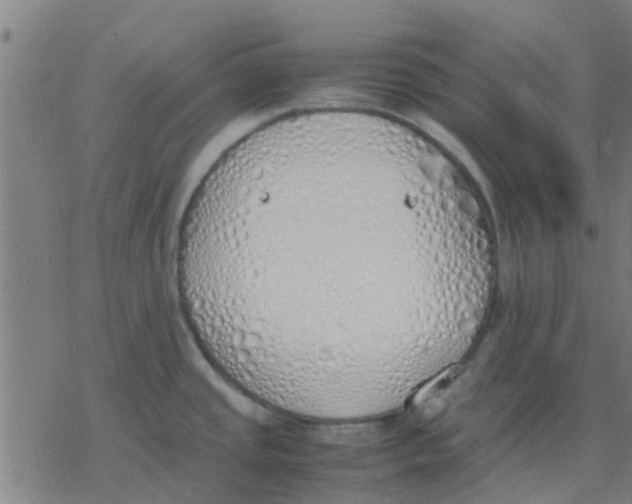 X0000077281437200611101307