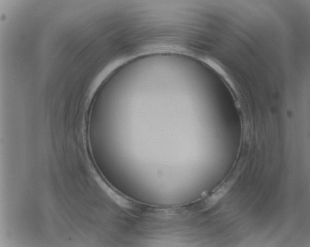 X0000077281438200611101307