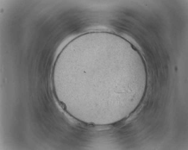 X0000077281440200611101307