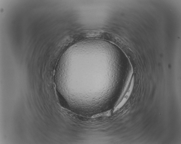 X0000077281441200611101306