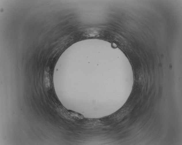 X0000077281442200611101306