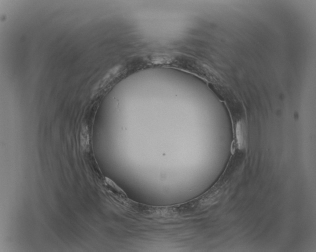 X0000077281443200611101306