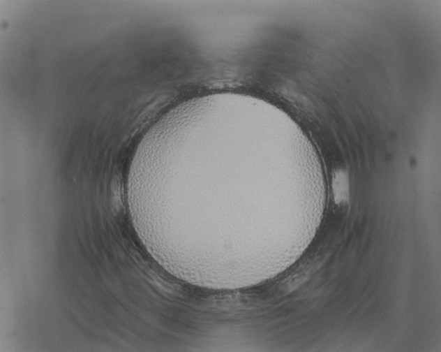 X0000077281444200611101306