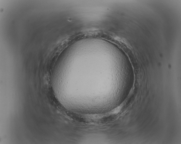 X0000077281445200611101306