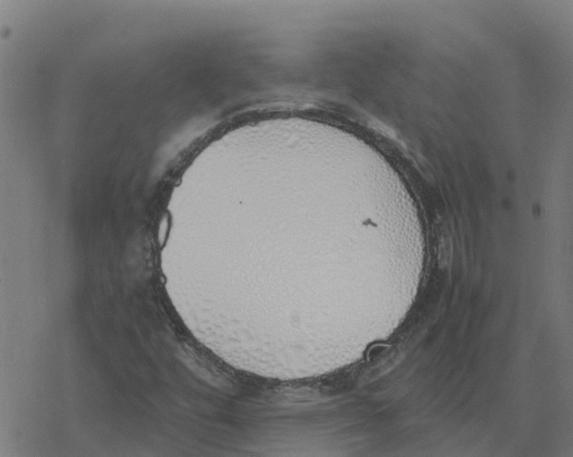 X0000077281448200611101306