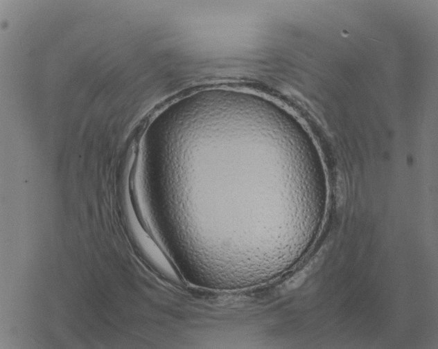 X0000077281449200611101306