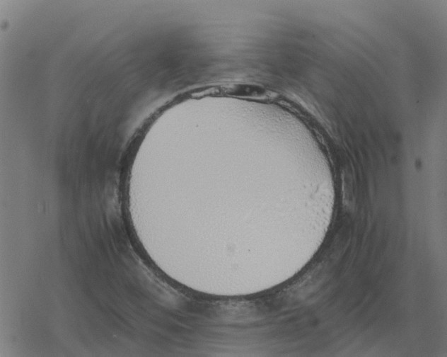 X0000077281452200611101306