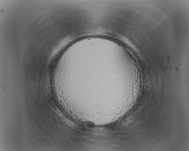 X0000077281456200611101306