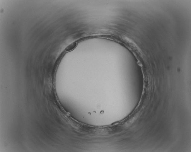 X0000077281457200611101306