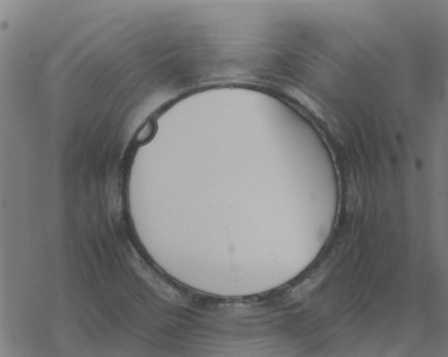 X0000077281458200611101306