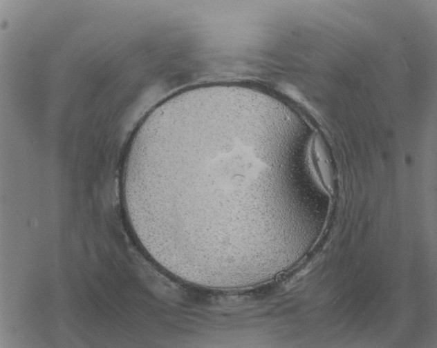 X0000077281459200611101306