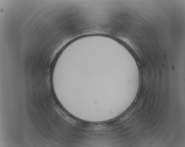 X0000077281460200611101306