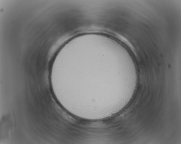 X0000077281464200611101305