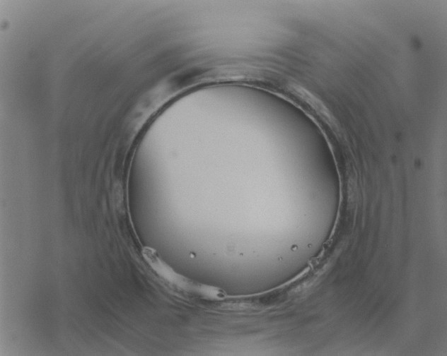 X0000077281465200611101305