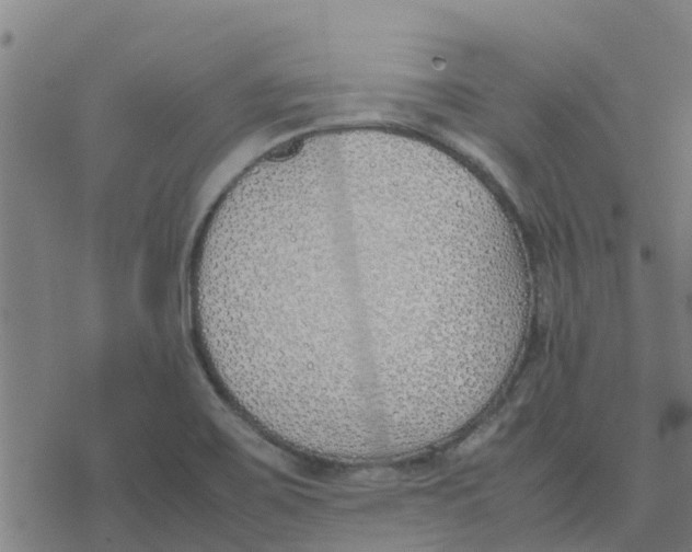 X0000077281467200611101305