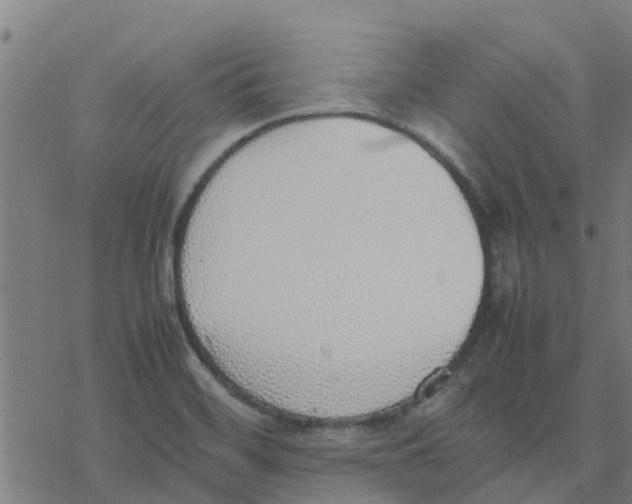 X0000077281468200611101305