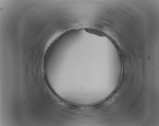 X0000077281469200611101305