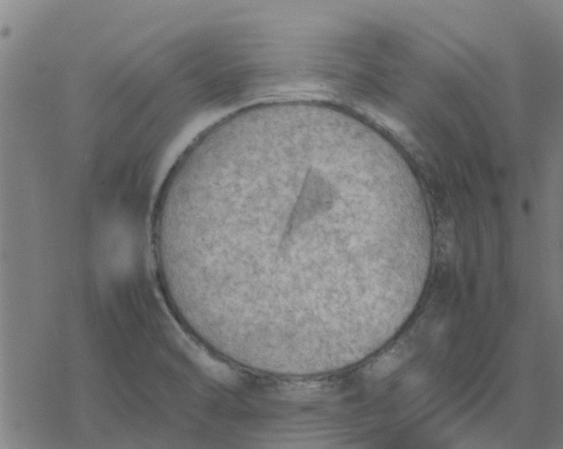 X0000077281470200611101305