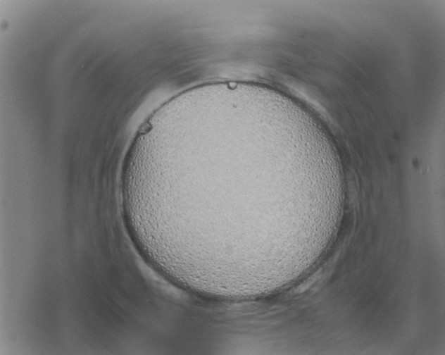 X0000077281471200611101305