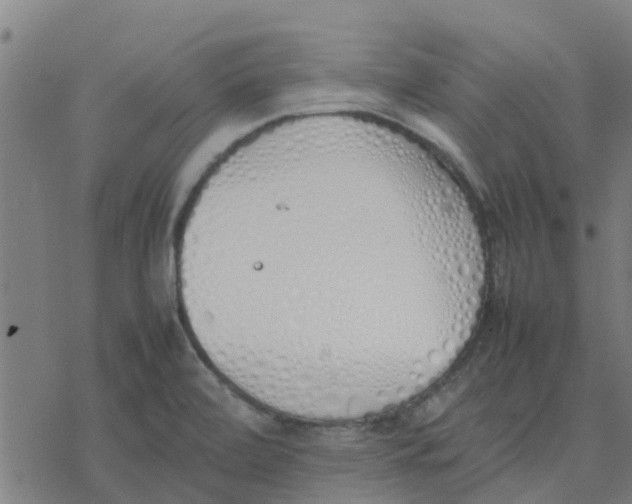 X0000077281472200611101305