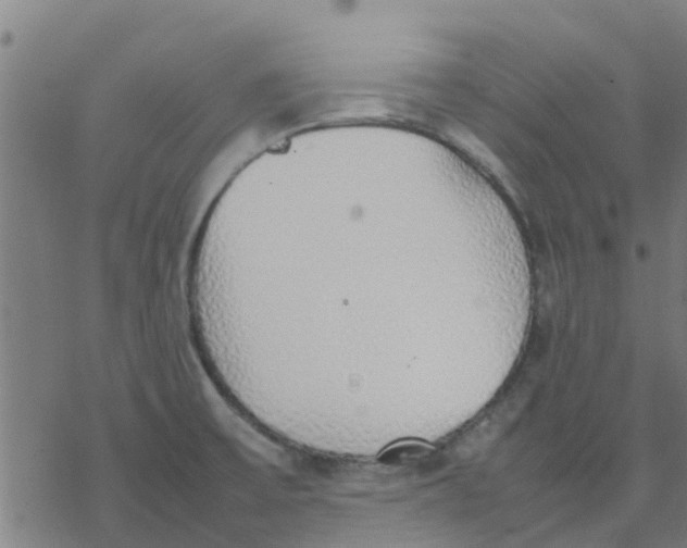 X0000077281475200611101305