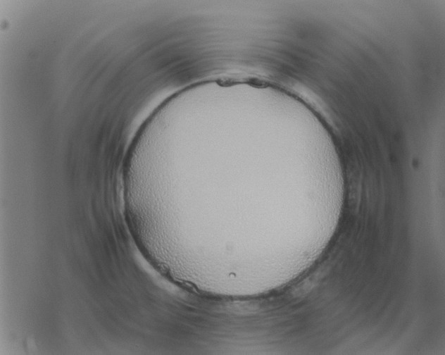 X0000077281476200611101305