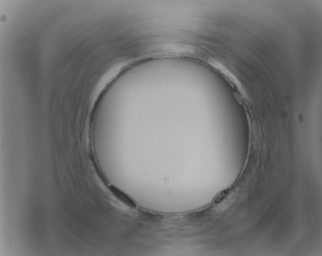 X0000077281477200611101305