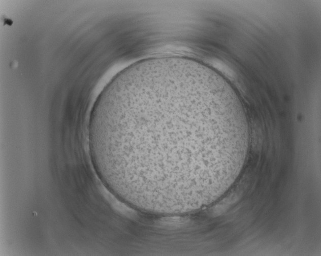 X0000077281478200611101305